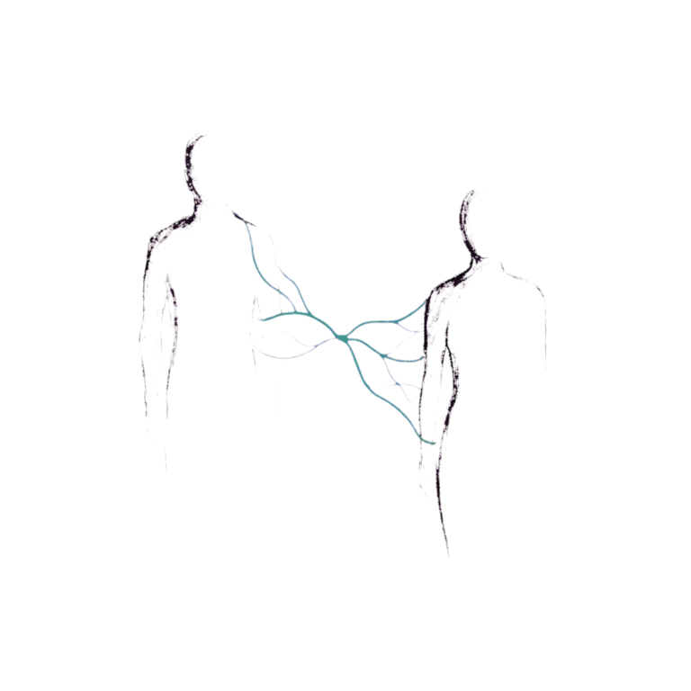 Dos figuras conectadas — formación y transferencia de conocimiento